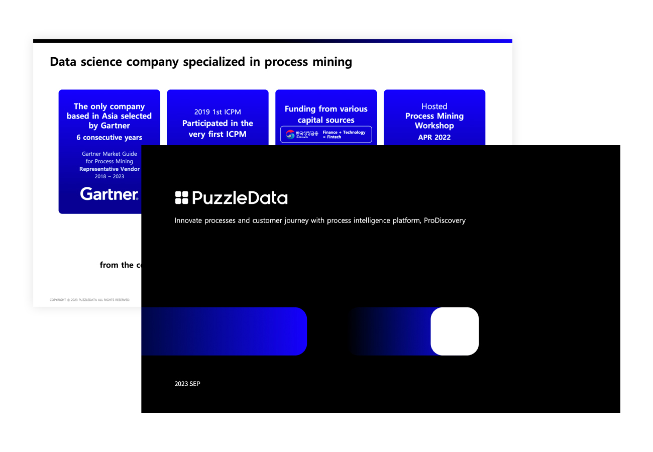 Company Overview_PuzzleData_eng